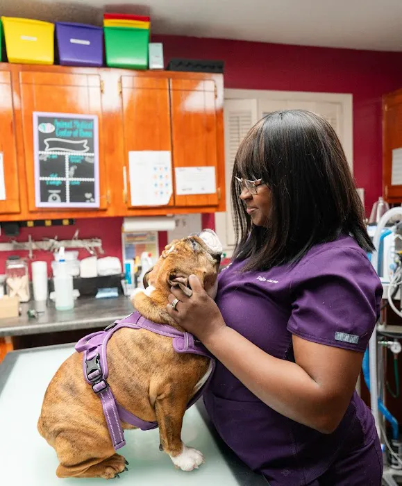 Animal Medical Center of Rome Picture 8