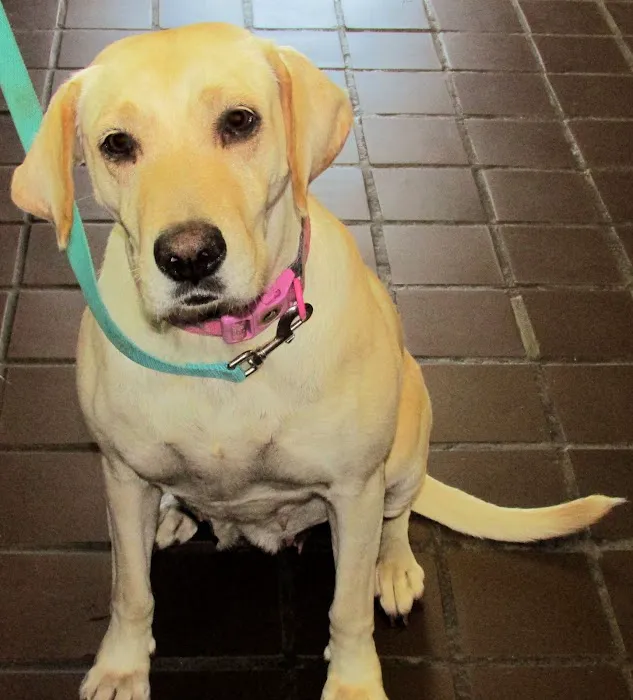 Whatley- Kinney Veterinary Clinic Picture 9