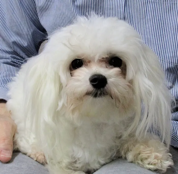 Whatley- Kinney Veterinary Clinic Picture 8