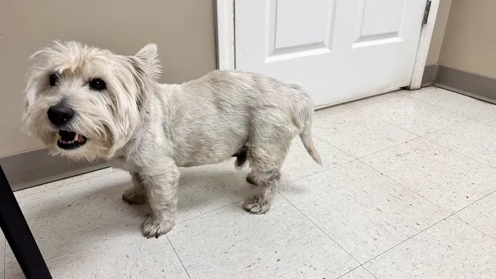 Nichols Animal Hospital Picture 2