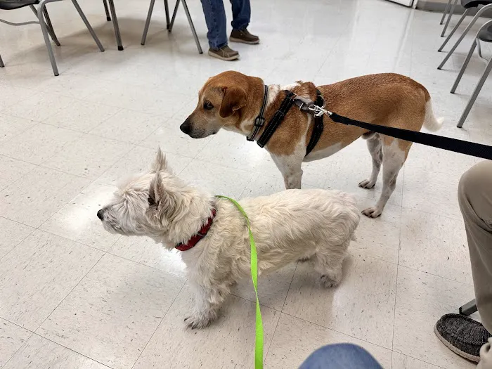 Nichols Animal Hospital Picture 1