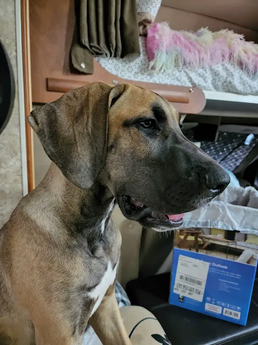 Nichols Animal Hospital Picture 5