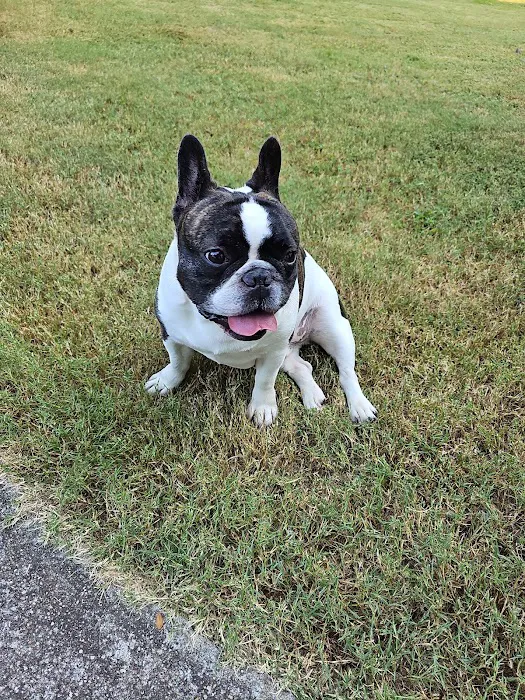 Nichols Animal Hospital Picture 8