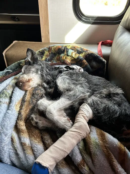 Nichols Animal Hospital Picture 9