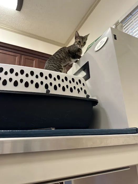 Cave Spring Animal Hospital Picture 7