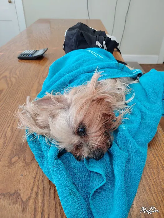 Marks Animal Hospital, LLC Picture 8