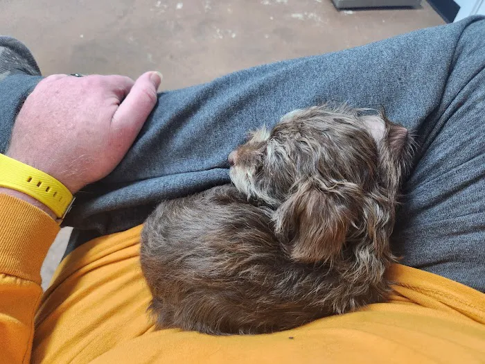 Marks Animal Hospital, LLC Picture 10