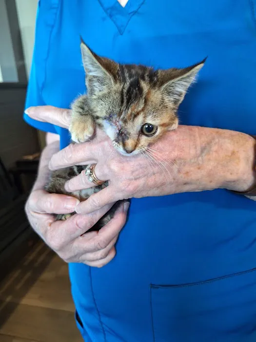 Westside Veterinary Hospital Picture 6