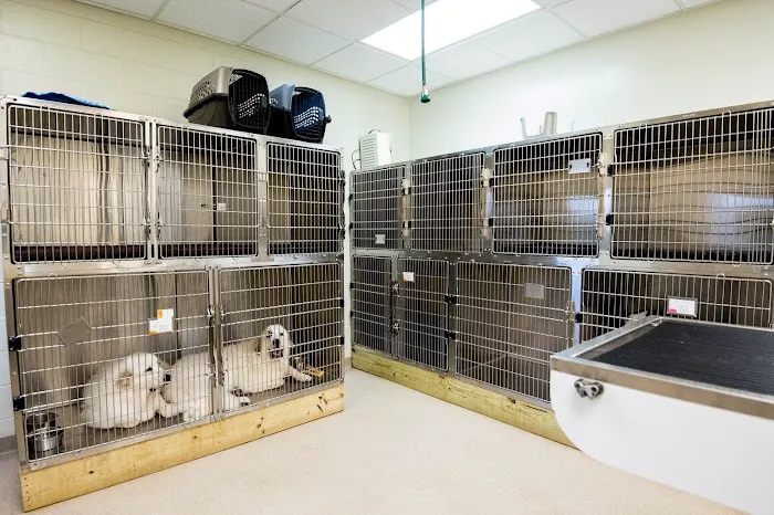 Westside Veterinary Hospital Picture 9