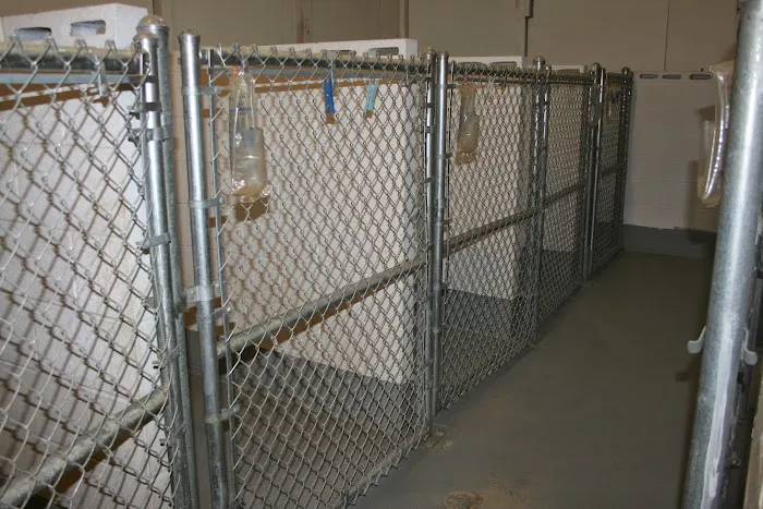 North Blount Animal Hospital Picture 7