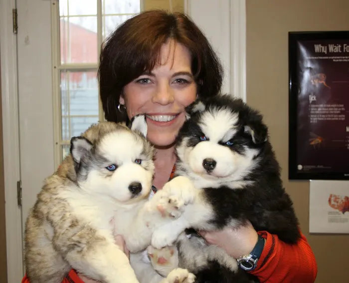 North Blount Animal Hospital Picture 5
