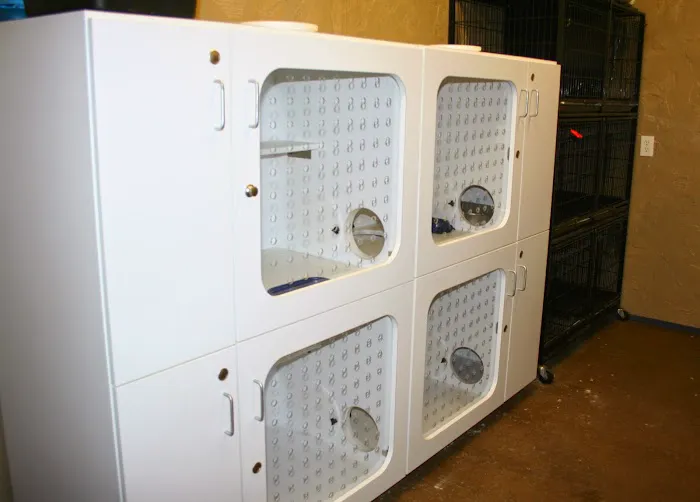 North Blount Animal Hospital Picture 6