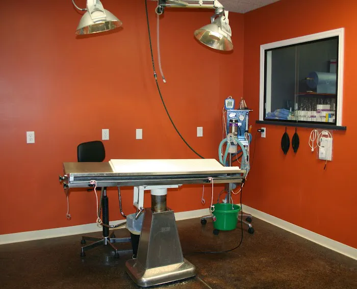 North Blount Animal Hospital Picture 8