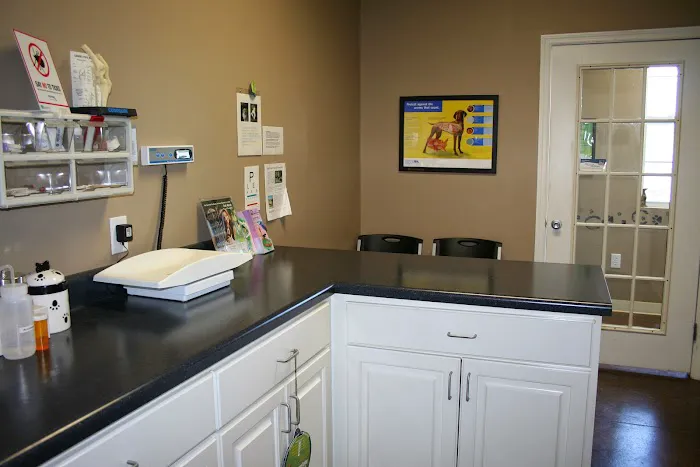 North Blount Animal Hospital Picture 9