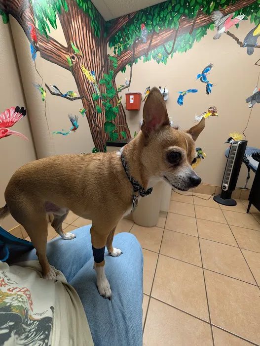 Brookview Animal Health Center Picture 5
