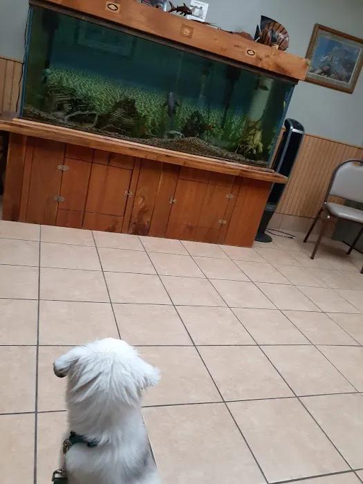 Brookview Animal Health Center Picture 3