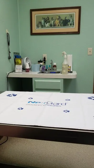 Pioneer Animal Hospital Picture 3