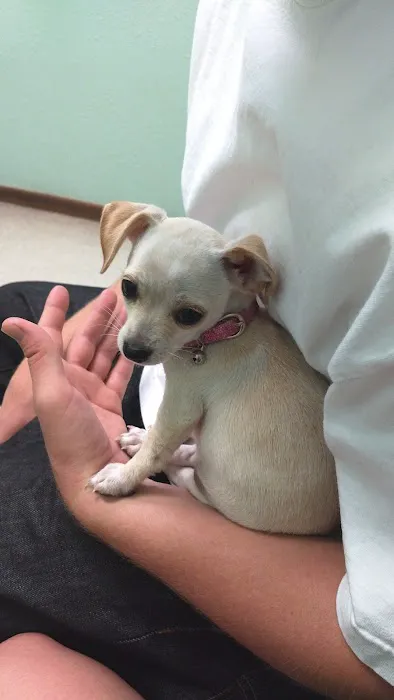 Pioneer Animal Hospital Picture 5