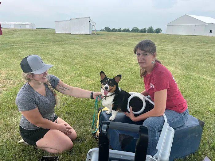 Hypoint Veterinary Health, L.L.C. Picture 2