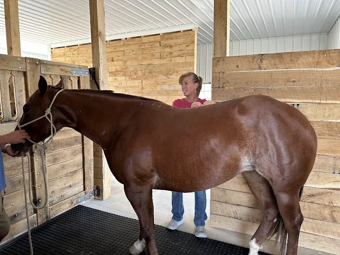 Hypoint Veterinary Health, L.L.C. Picture 4