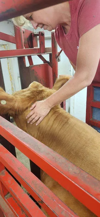 Hypoint Veterinary Health, L.L.C. Picture 3