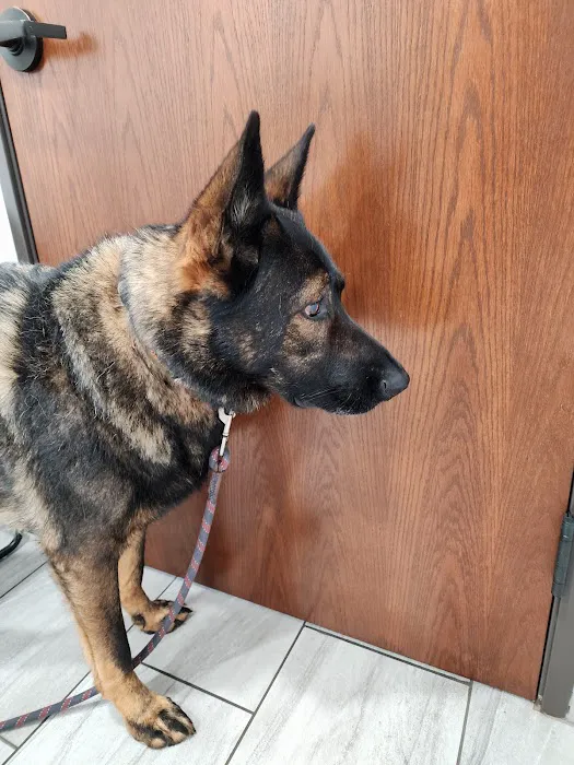 Weston Veterinary Hospital Picture 1
