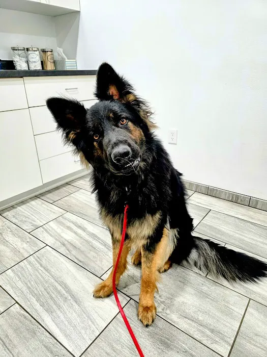 Weston Veterinary Hospital Picture 4