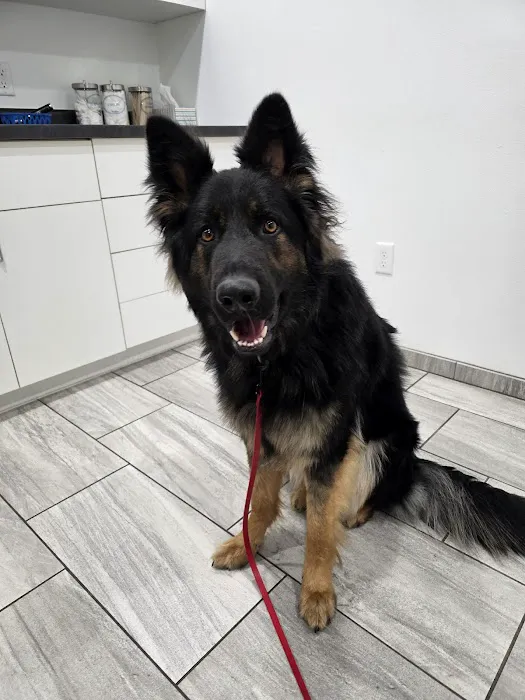 Weston Veterinary Hospital Picture 5