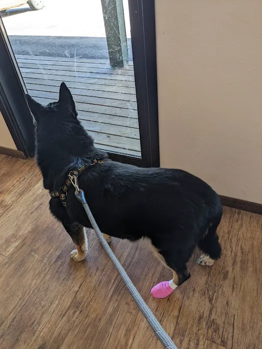 Grimm Tails Veterinary Picture 5