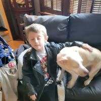 Ridge to Rivers Animal Clinic, LLC ico