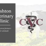Cashton Veterinary Clinic