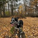 Rolling Hills Veterinary Clinic