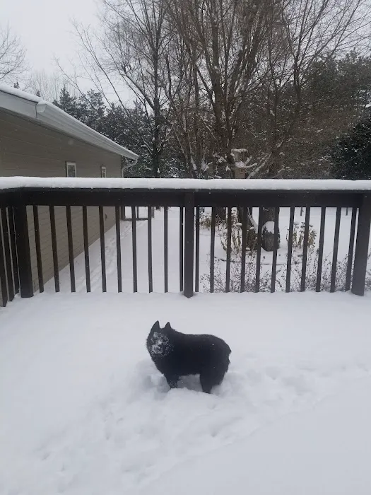 Piper Veterinary Clinic Picture 1