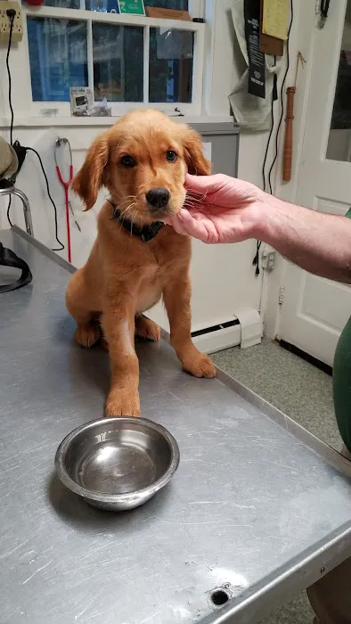 Piper Veterinary Clinic Picture 6
