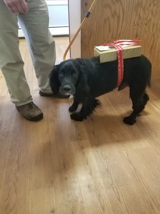 Piper Veterinary Clinic Picture 9