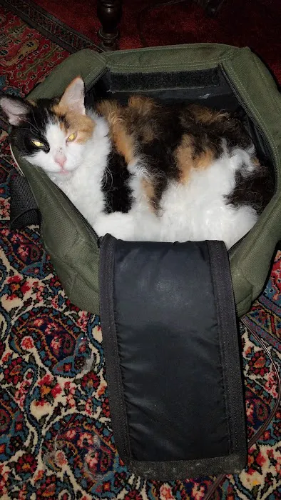 Piper Veterinary Clinic Picture 7