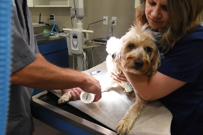 Decorah Veterinary Clinic Picture 6