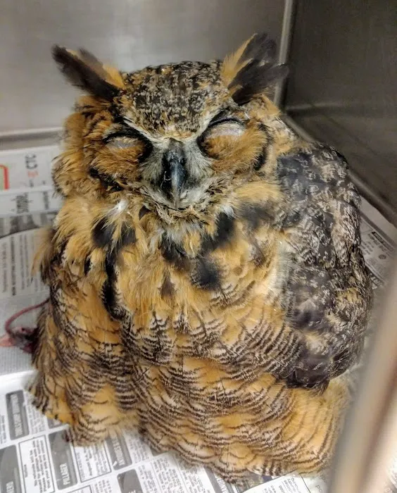 Garrison Animal Hospital Picture 1