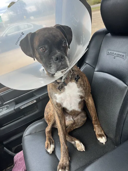 Garrison Animal Hospital Picture 2