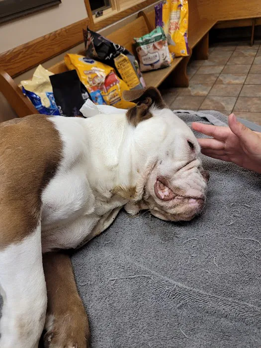 Garrison Animal Hospital Picture 6