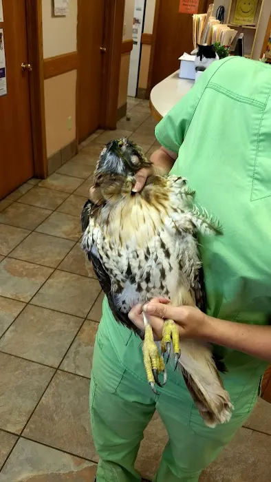 Garrison Animal Hospital Picture 10