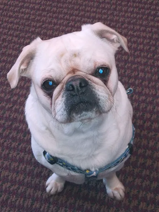 Garrison Animal Hospital Picture 8