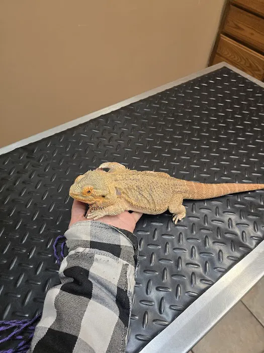 Garrison Animal Hospital Picture 9