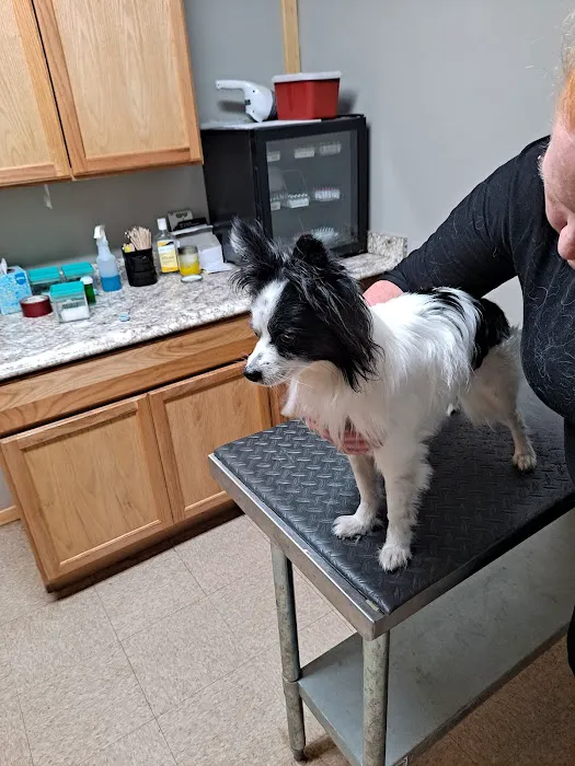Iron Range Veterinary Clinic Picture 5