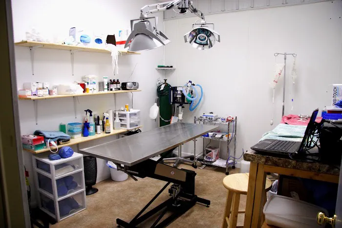 Iron Range Veterinary Clinic Picture 9