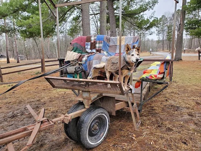 Country Doc Veterinary Clinic Picture 8
