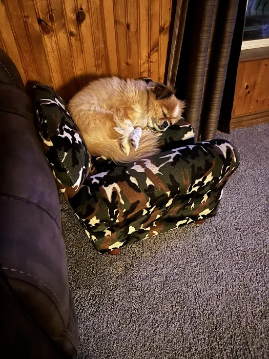 Crosslake Veterinary Hospital Picture 1