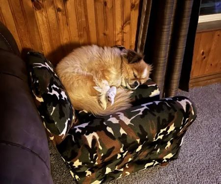 Crosslake Veterinary Hospital