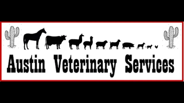 Austin Veterinary Services Picture 4