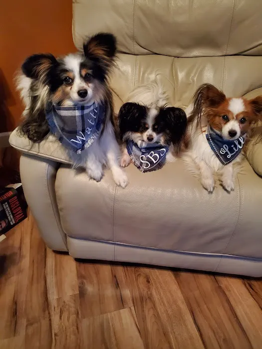 Fruitport Animal Hospital Picture 4